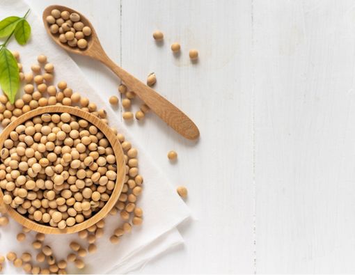 Manfaat Ajaib Kedelai untuk Kecantikan Kulit