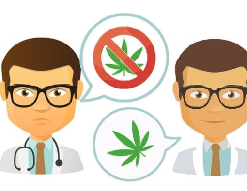 Debat Ganja Sebagai Anti Nyeri