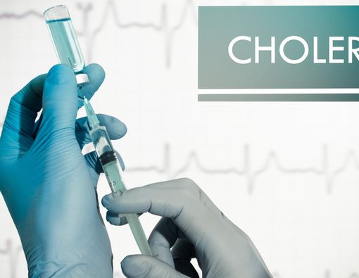 Bukan Hanya Babi, Manusia Juga Bisa Terkena Kolera, Ini Sebabnya!