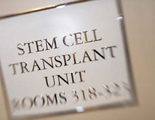 Penggunaan Sel Induk Untuk Sembuhkan Luka Yang Diakibatkan Serangan Jantung