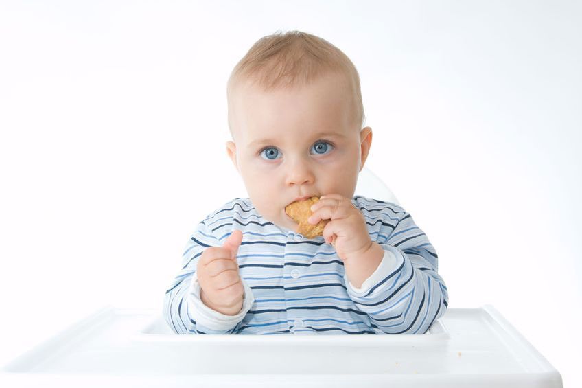 Memilih Biskuit yang Baik untuk Bayi