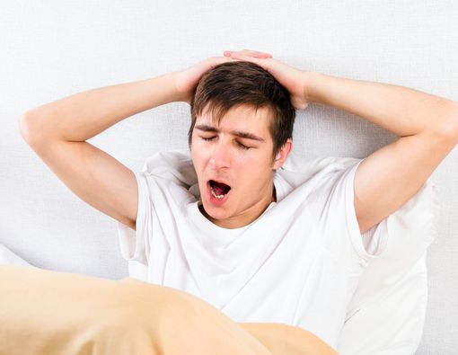 Ukrainadagi otga chidamli zavodlar