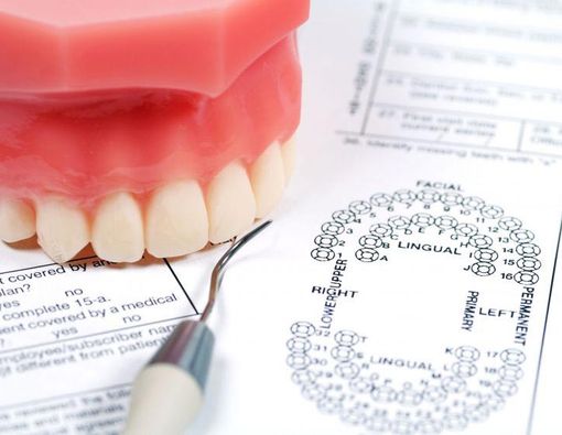 Fakta-Fakta Seputar Gigi Manusia