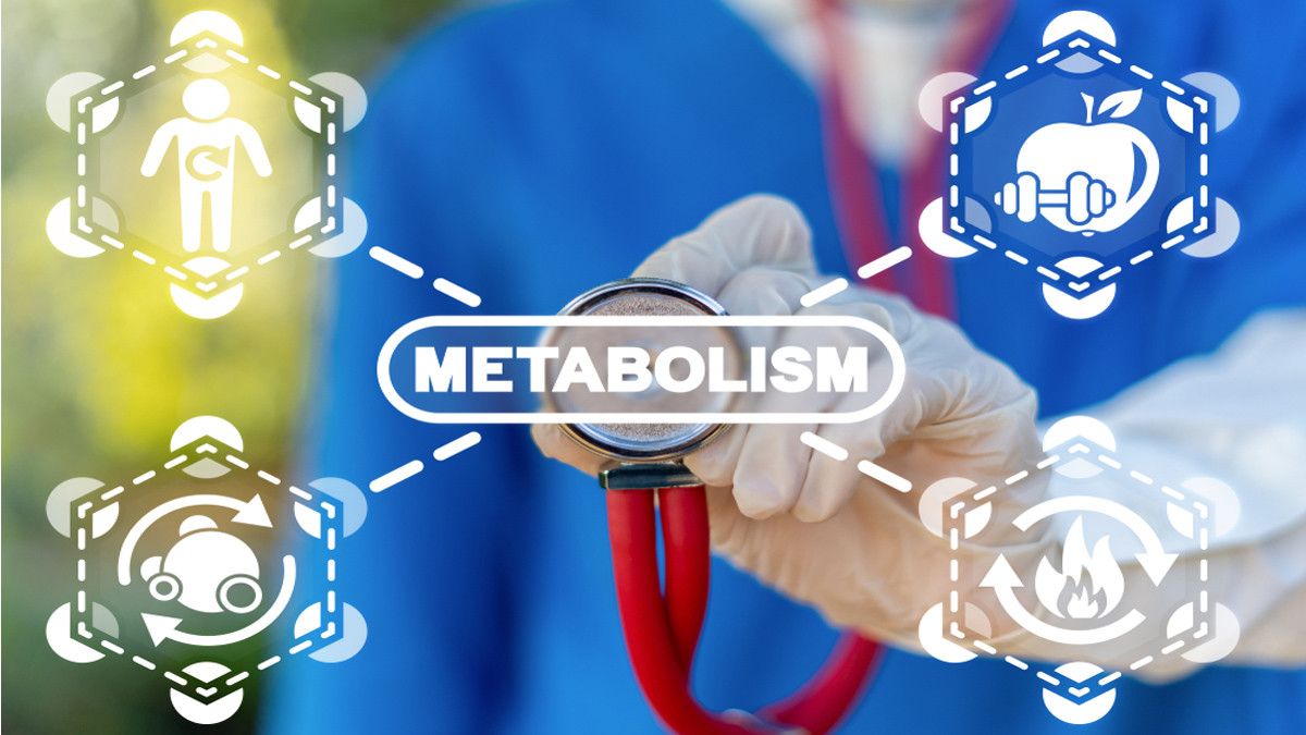 Apa itu Metabolisme?