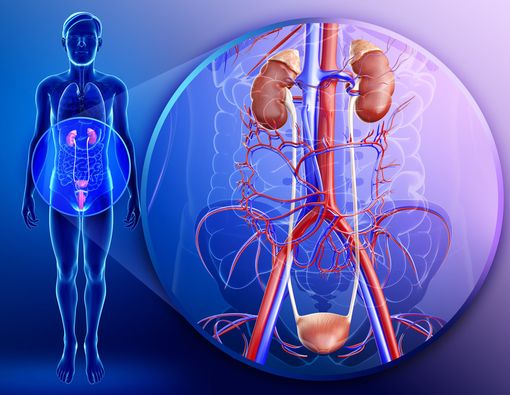 Selain Batu Ginjal, Kenali Juga Batu Kandung Kemih