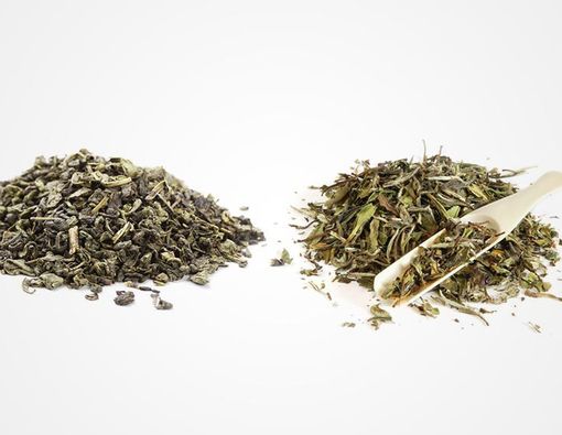 Teh Hijau dan Teh Putih, Mana yang Lebih Baik?