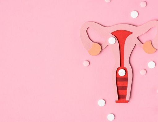 Fungsi Organ Reproduksi Wanita yang Mungkin Belum Anda Tahu