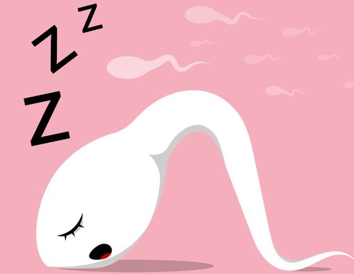 Polusi Udara Bisa Menurunkan Kualitas Sperma Pria