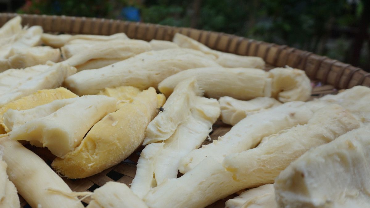 Makan Tape saat Hamil, Bahayakah bagi Kesehatan Janin? KlikDokter