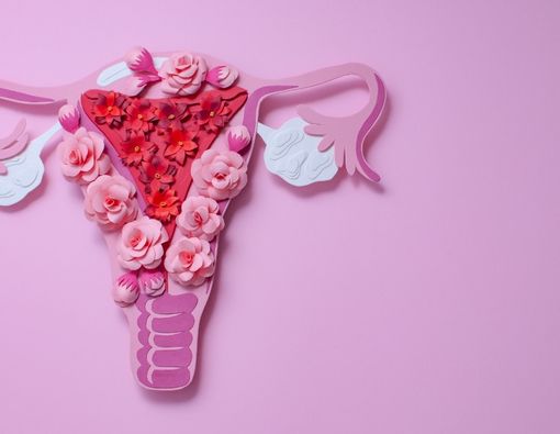 Kenali Ostium Serviks dan Fungsinya bagi Reproduksi Wanita