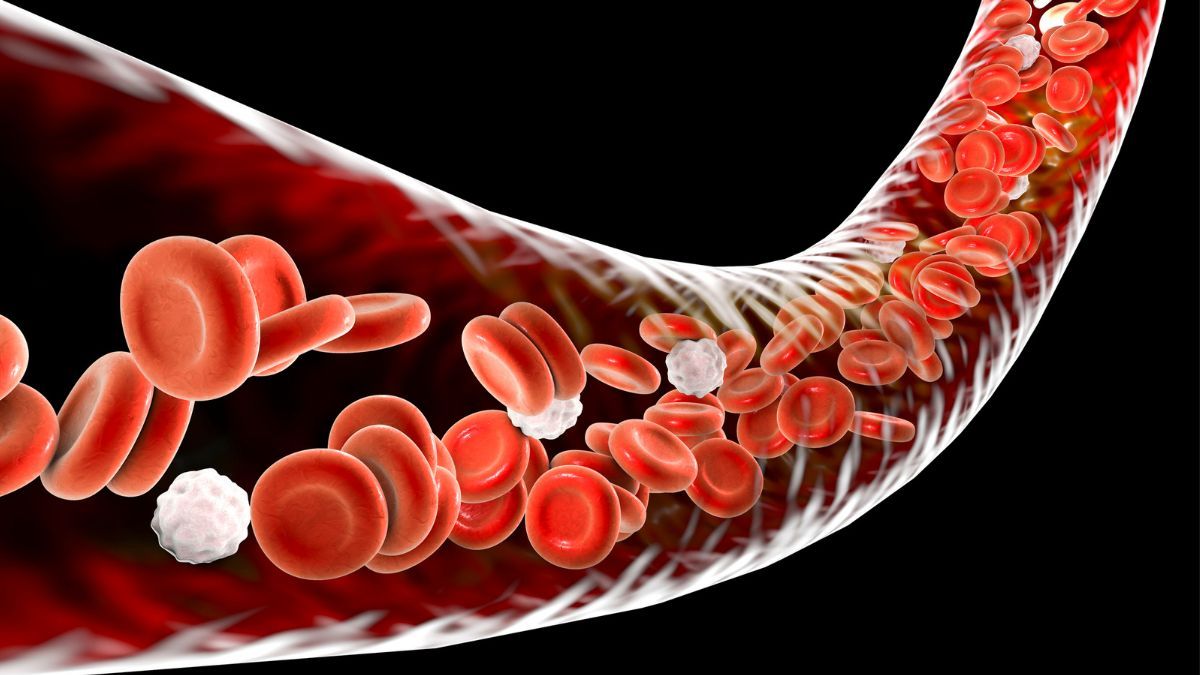 laju endap darah tinggi 2