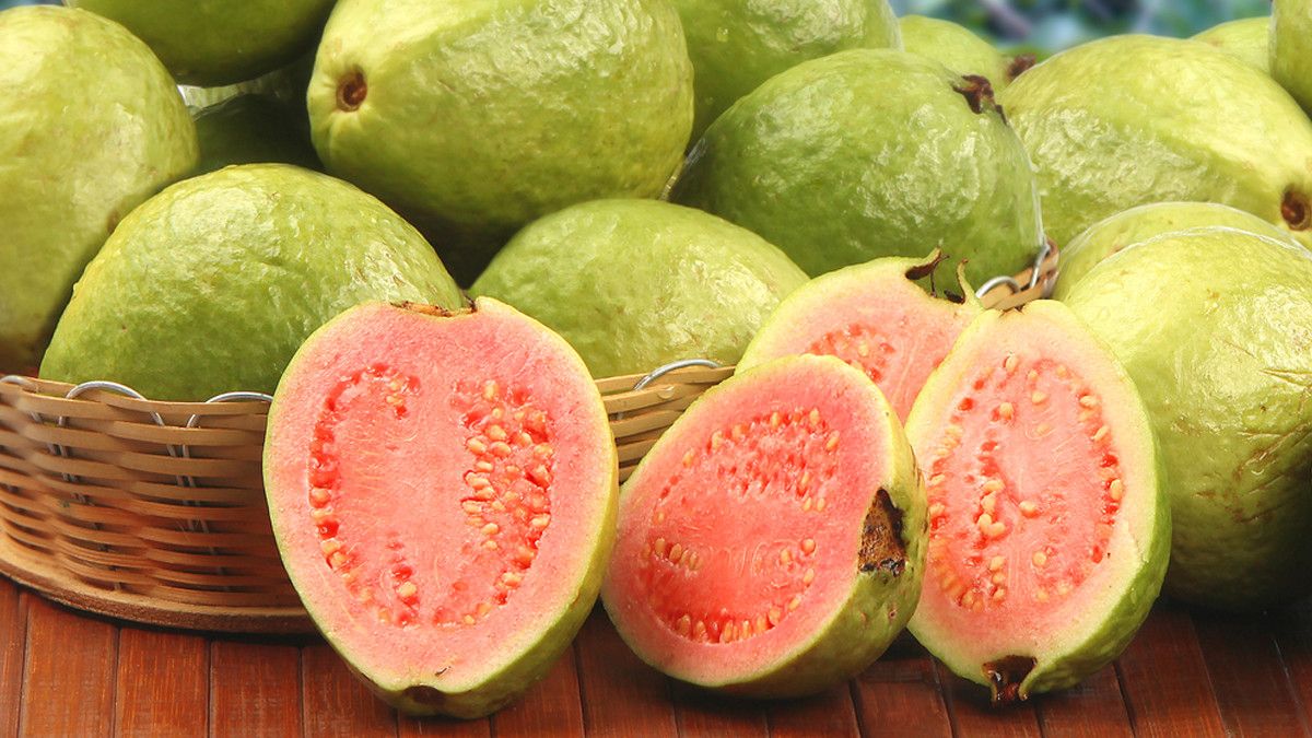 Faedah Jambu Biji untuk Kesehatan Balita