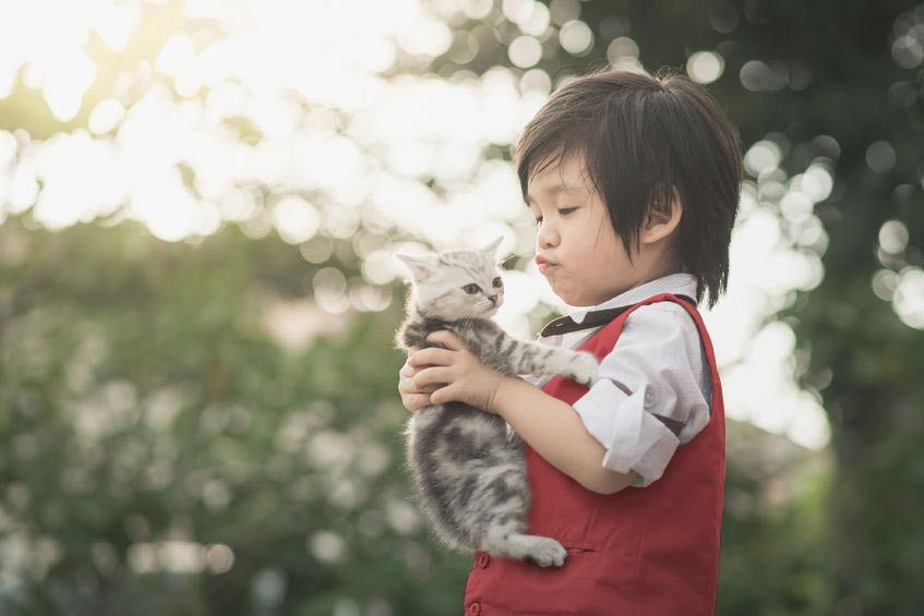 Kiat Menanamkan Rasa Cinta Hewan pada Anak