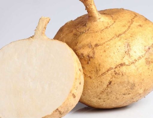 12 Manfaat Bengkoang untuk Kesehatan Anda