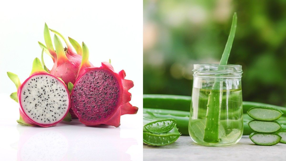 Bagus Mana Buah Naga atau Lidah Buaya untuk Atasi Sunburn?