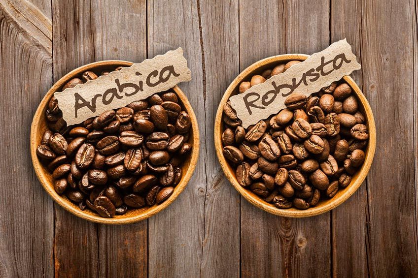 Mana Lebih Aman, Kopi Arabika atau Robusta?