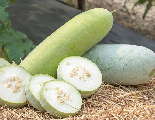 Benarkah Makan Buah Kundur Bisa Meningkatkan Peluang Hamil?