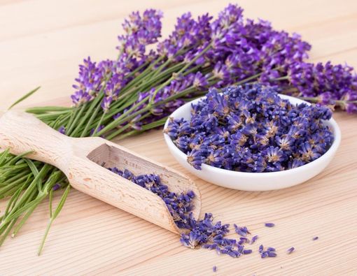 4 Aroma Ini Bisa Membuat Tubuh Sehat