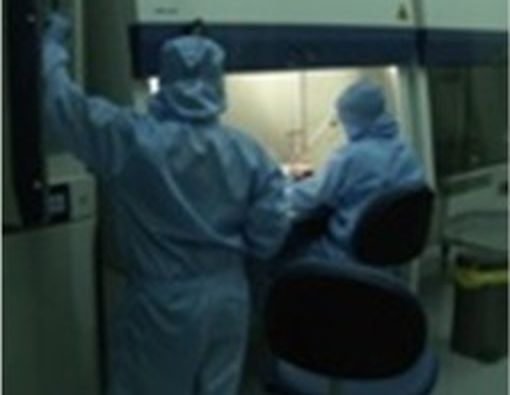 Penggunaan Sel Punca Mesenkimal untuk Terapi Osteoarthritis