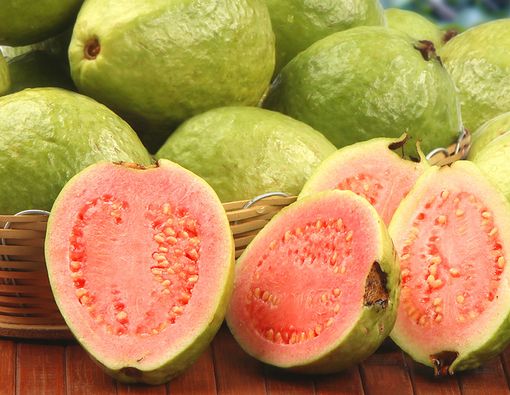 Faedah Jambu Biji untuk Kesehatan Balita