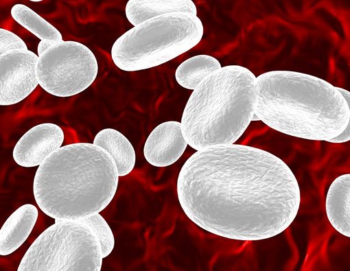 Kelainan Sel Darah Putih yang Perlu Anda Tahu