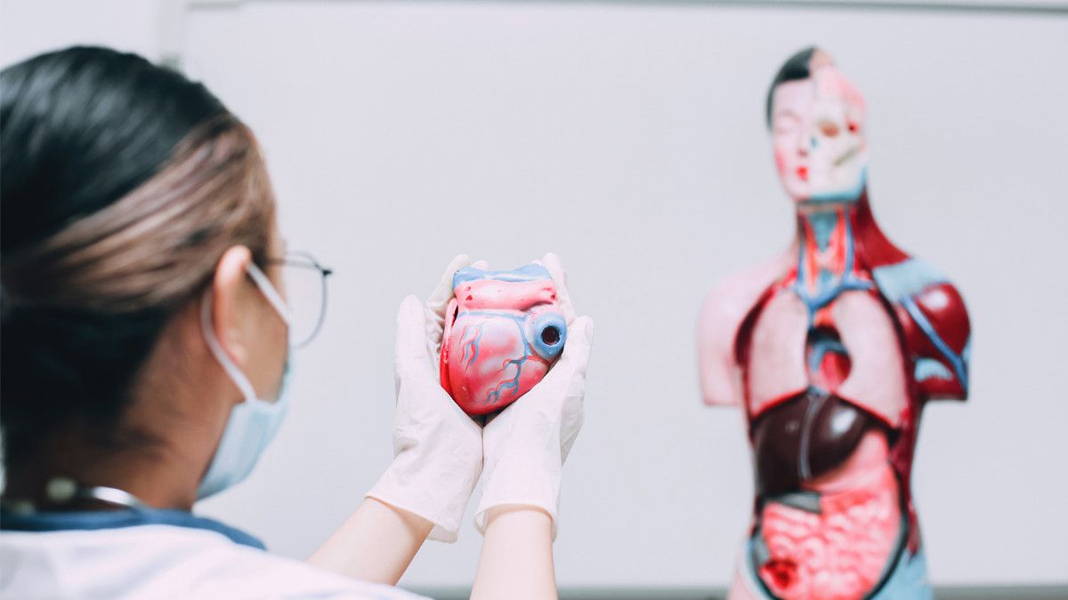 Penyakit Diabetes Meningkatkan Risiko Gangguan Liver