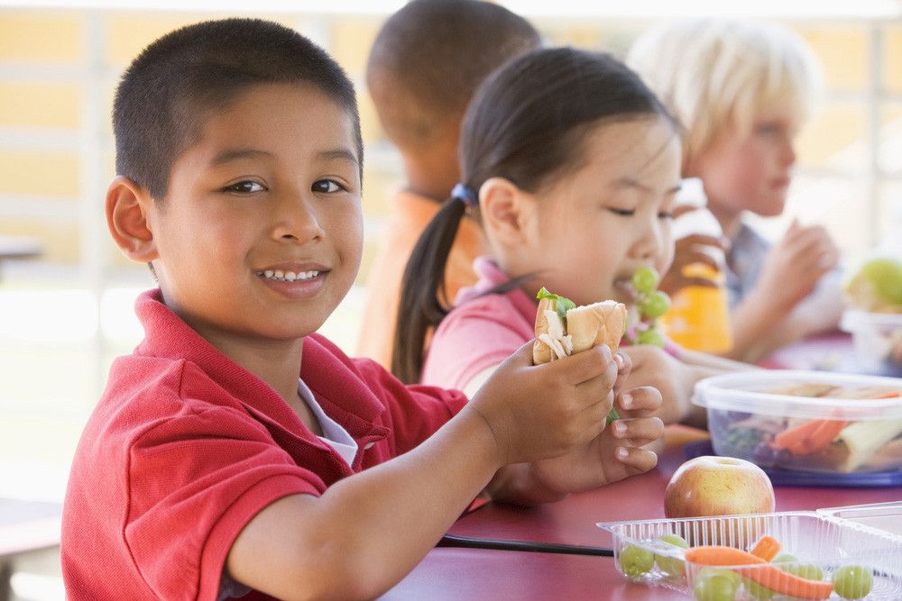 5 Rekomendasi Nutrisi untuk Anak Sekolah