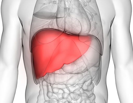 Awas, 5 Kebiasaan Ini Picu Timbulnya Kanker Hati