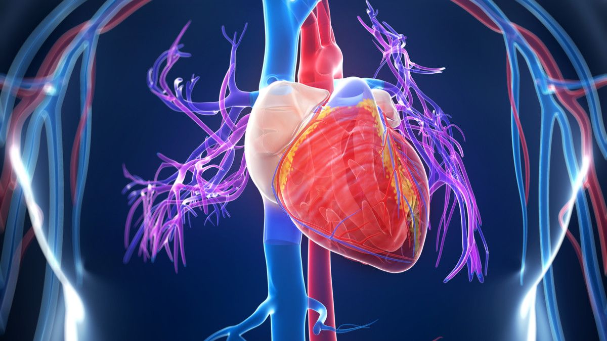 Bagaimana Asam Lemak Omega-6 Bisa Mencegah Penyakit Jantung?