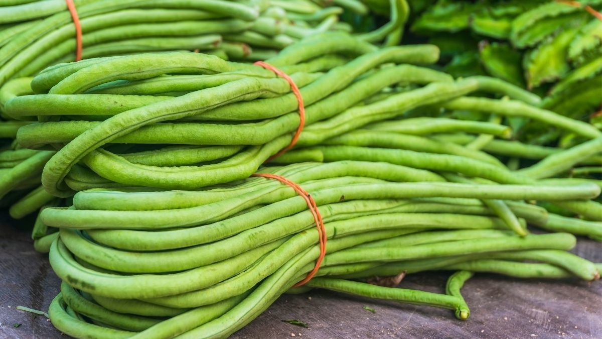 Inilah Segudang Manfaat Tumis Kacang Panjang bagi Kesehatan