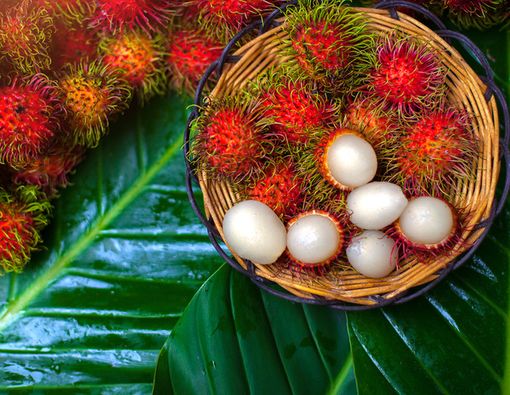 Rambutan Diklaim Dapat Cegah Diabetes, Ini Faktanya!