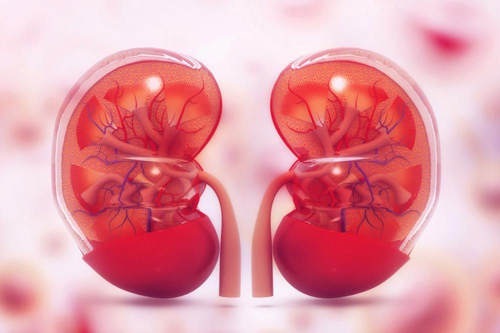 Mengenal Gangguan Ginjal yang Dialami Melania Trump