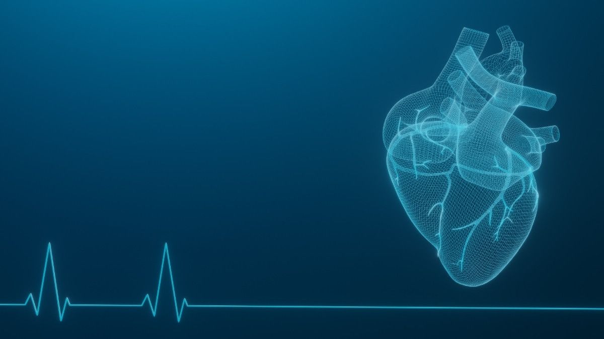 Kenali Fungsi Katup Jantung dan Masalah Kesehatannya