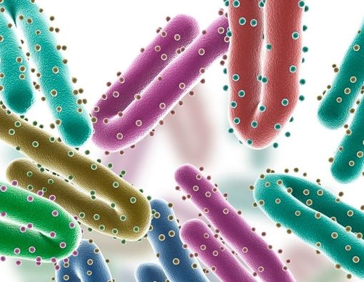 Sangat Menular dan Mematikan, Apa itu Virus Marburg?