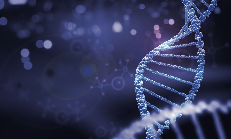Kenali Prosedur Pemeriksaan DNA pada Korban Pesawat Jatuh
