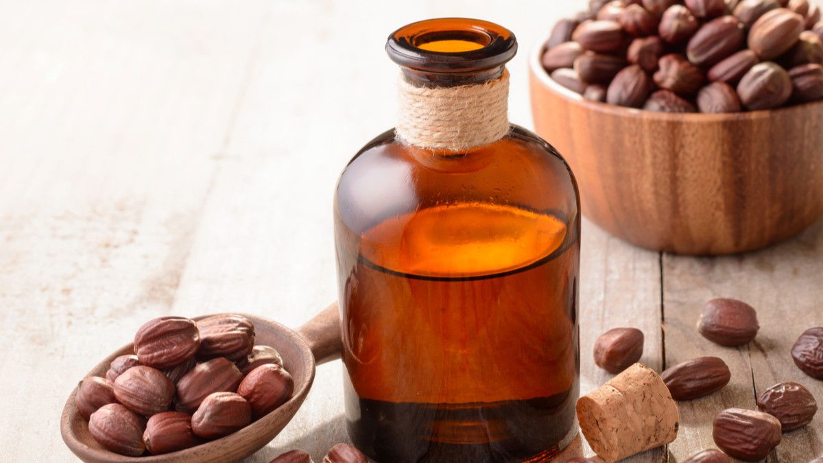 Cegah Penuaan Dini dengan Minyak Jojoba