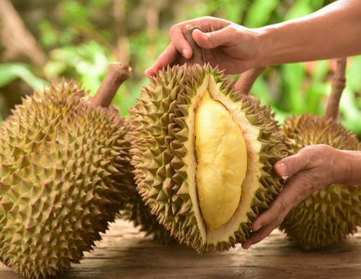 20 Manfaat Durian bagi Kesehatan yang Jarang Diketahui