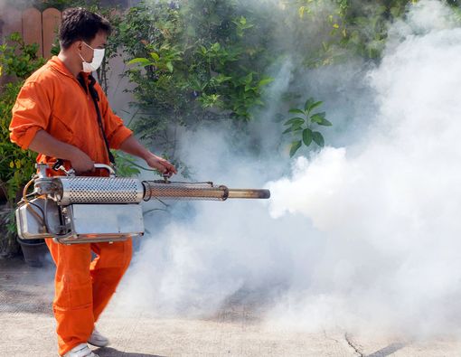 Benarkah Fogging Solusi Terbaik untuk Berantas Nyamuk?