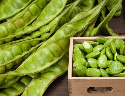 Benarkah Penderita Asam Urat Tak Boleh Konsumsi Petai?