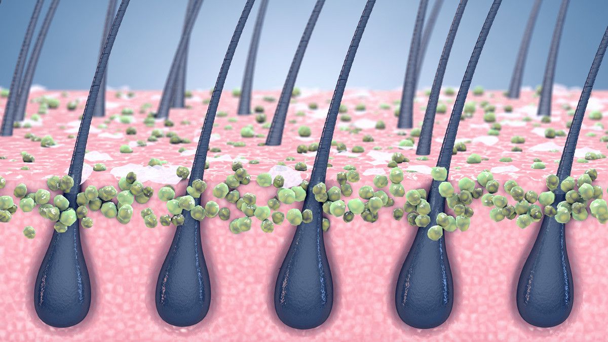 Bakteri Bisa Menempel di Rambut Meski di Rumah Saja, Ini Solusinya