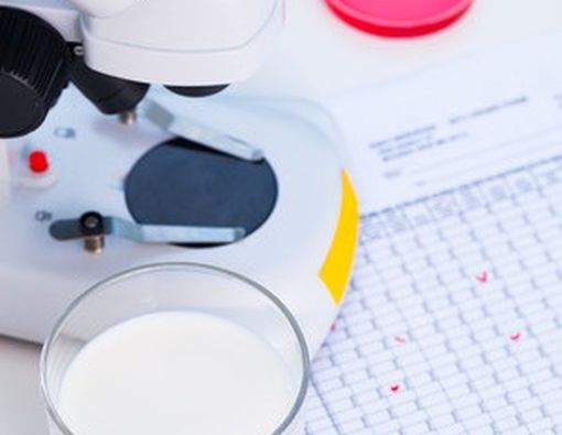 Mengenal Probiotik, Bakteri Baik