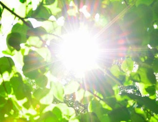 4 Alergi Langka pada Anak