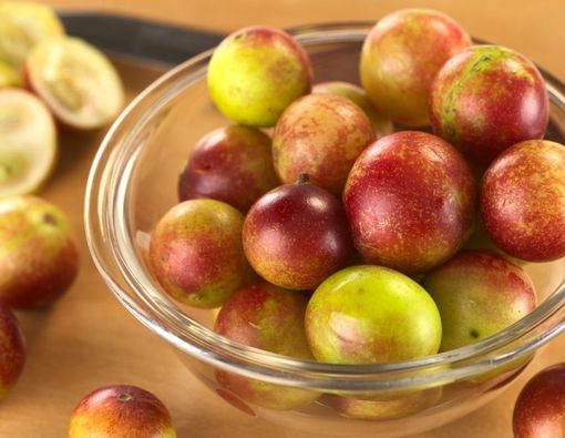 Manfaat Camu-Camu Berry untuk Kesehatan