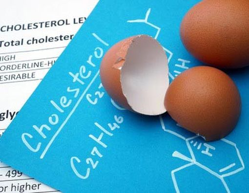 5 Makanan Tinggi Kolesterol