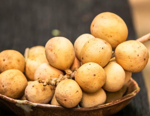 15 Manfaat Melimpah Buah Duku untuk Kesehatan