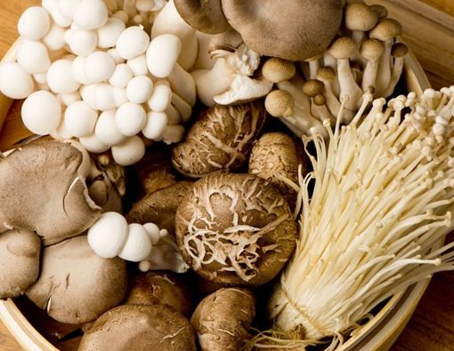Konsumsi Jamur Baik untuk Penderita Sakit Jantung? Ini Faktanya!