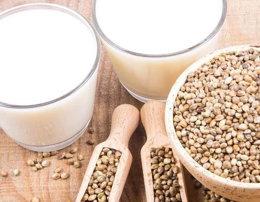 Manfaat Mengonsumsi Susu Biji Hemp (Hemp Milk)