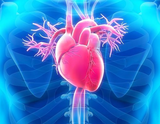 Studi: COVID-19 Bisa Picu Masalah Jantung pada Atlet Muda