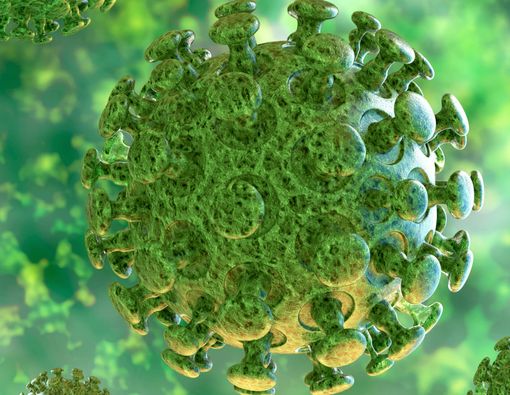 Ternyata, Penyakit Misterius di Cina Disebabkan oleh Virus Corona!