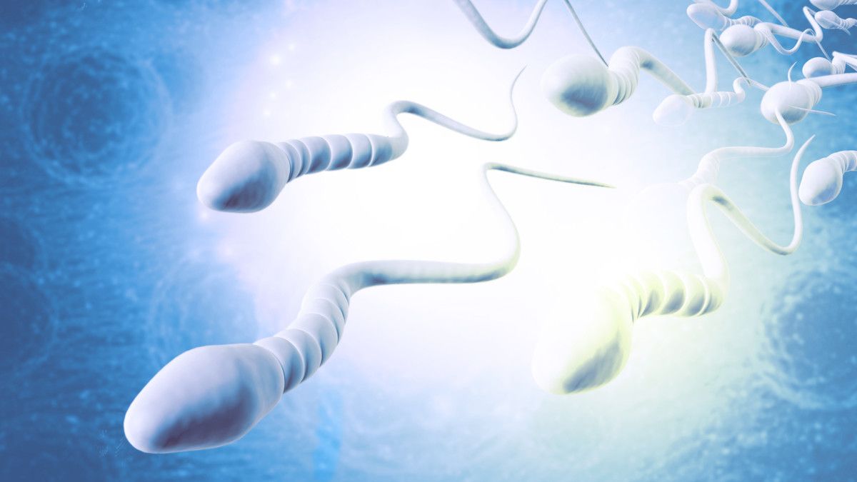 Adakah Cara Memperbanyak Sperma?